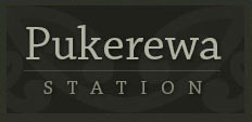 Pukerewa Station Trust